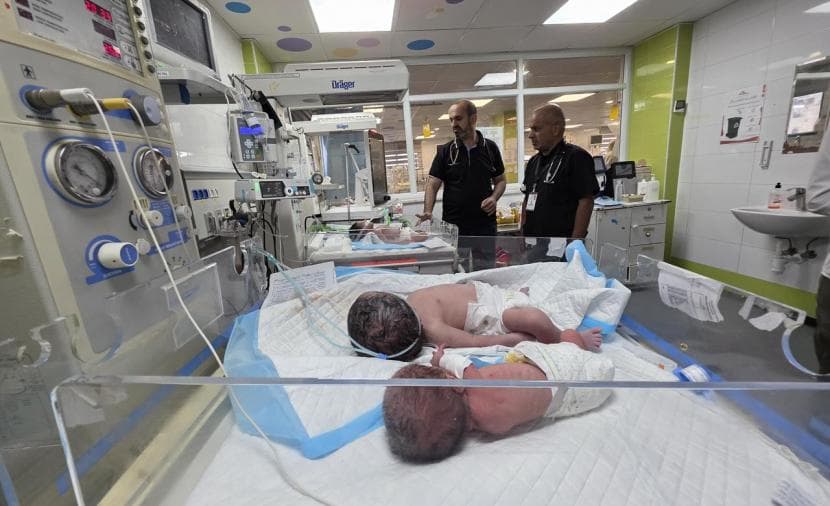 النواجحة لـ"فلسطين": قسم الحضانة في مجمع ناصر يعمل بنسبة إشغال 150%