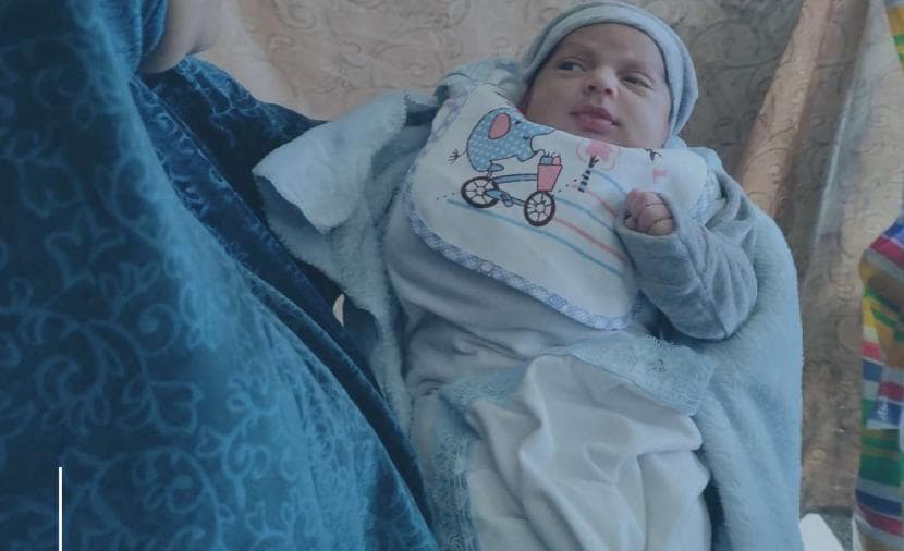 استنادًا لأرقام صحيفة فلسطين.. مركز حقوقي يحذر من توظيف "إسرائيل" منع الإنجاب بغزة