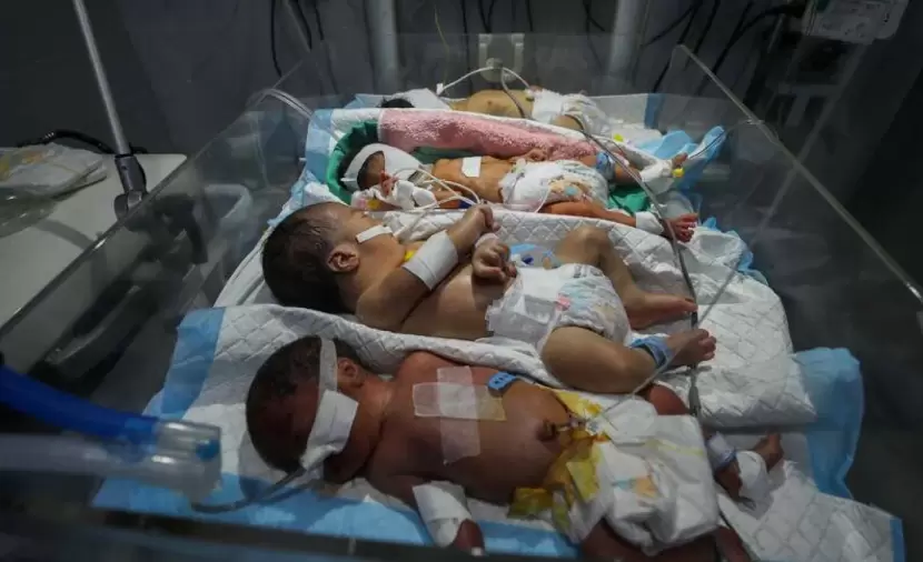 الإبادة الإنجابية.. "فلسطين" تكشف: انتكاسة بمعدلات مواليد غزة مقابل ارتفاع الإجهاض