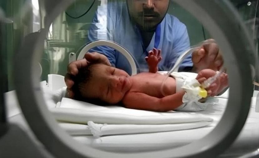إحصائية: 1701 مولود جديد في غزة خلال مايو