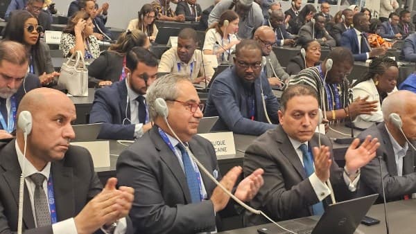 مصر ترحب باعتماد قرار مشاركة فلسطين في مؤتمر العمل الدولي بأغلبية ساحقة