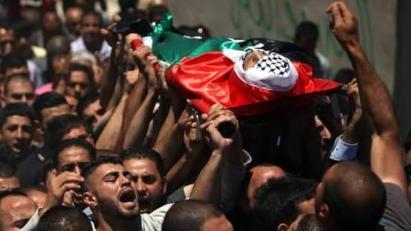 خبير: التحركات المصرية الدبلوماسية والإنسانية تجاه فلسطين مستمرة بلا توقف