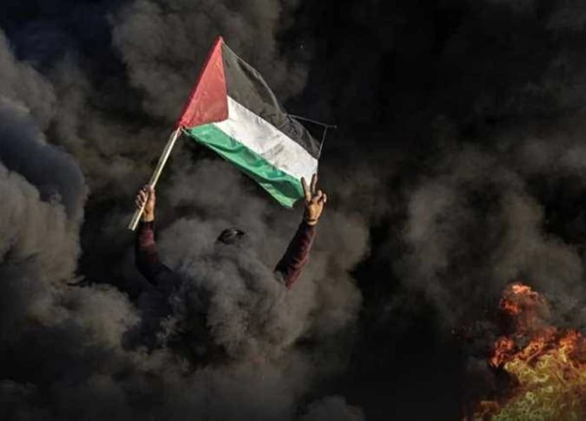 رئيس حزب الريادة: القيادة المصرية تسعى لجمع شمل الكلمة الفلسطينية