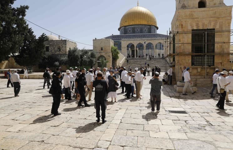 فلسطين.. عشرات المستوطنين الصهاينة يقتحمون المسجد الأقصى المبارك