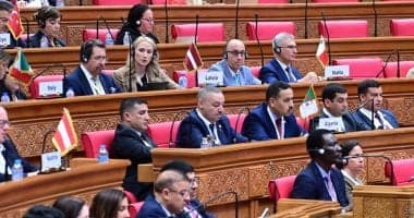 ممثلة رومانيا: لا يمكن الصمت أمام إراقة الدماء فى فلسطين
