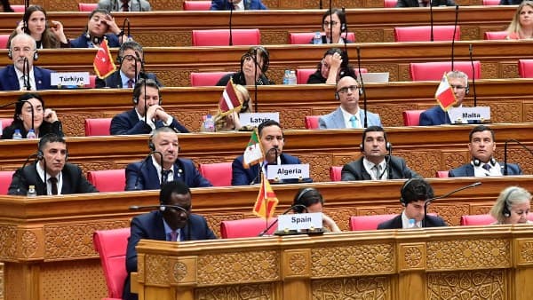 ممثلة رومانيا: لا يمكن الصمت أمام إراقة الدماء في فلسطين.. وعلى المجتمع الدولي التحرك