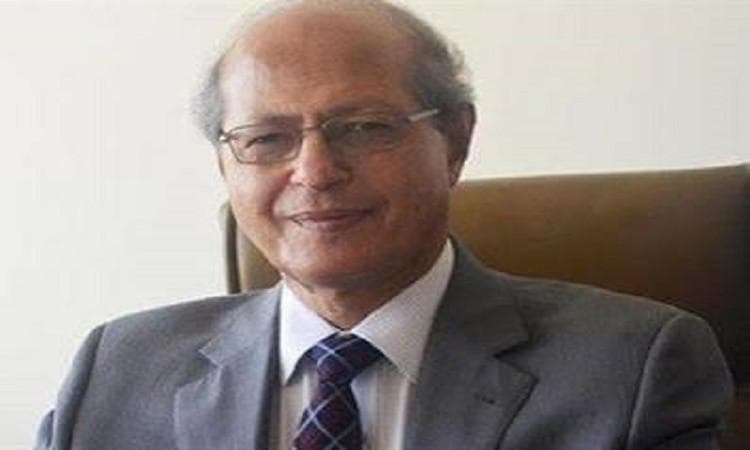 رخا أحمد حسن: دعم فلسطين أولوية مصرية انطلاقًا من مسؤولياتها القومية